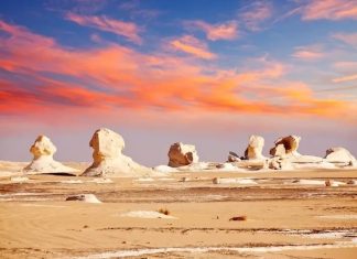 Top 10 Things to Do in Napa Valley (Besides Drink Wine)