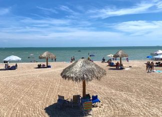 Where Can I Learn Spanish in Madrid?