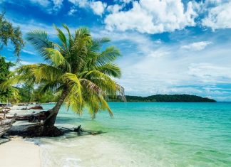 Ultimate Guide to Vienna’s Coffee Renaissance