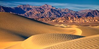 Choose Your Own Adventure: Machu Picchu