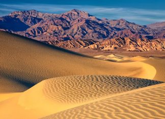 Choose Your Own Adventure: Machu Picchu