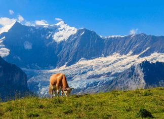 Luxury Hotel Debuts in French Alps