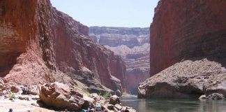 Rhine Valley Magic: Castles, Vineyards & River Cruises (Koblenz to Rüdesheim Itinerary)