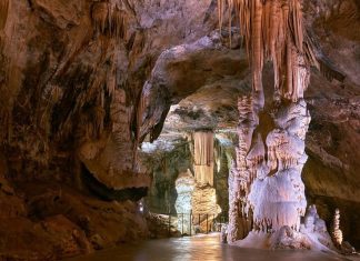 Ardennes Adventure: Hiking, Castles & Cave Exploration (Dinant Citadel, Han-sur-Lesse & Local Cuisine)