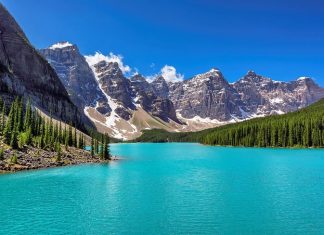 Coastal Charm: A Guide to Cornwall’s Best Beaches, Seaside Towns & Cream Teas (St Ives, Padstow, Land’s End)