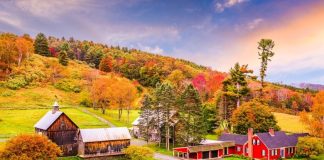 Provence Dreaming: Lavender Fields, Hilltop Villages & Markets (Best of Luberon, Gordes & Roussillon)