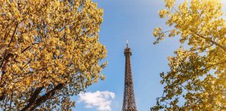Paris Perfected: Your 5-Day Iconic Itinerary (Eiffel Tower, Louvre, Montmartre & Local Secrets)